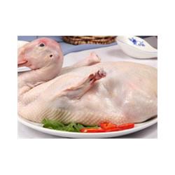 蘇州北半球食品 連接衢州生態(tài)養(yǎng)殖與高效配送的家禽供應鏈